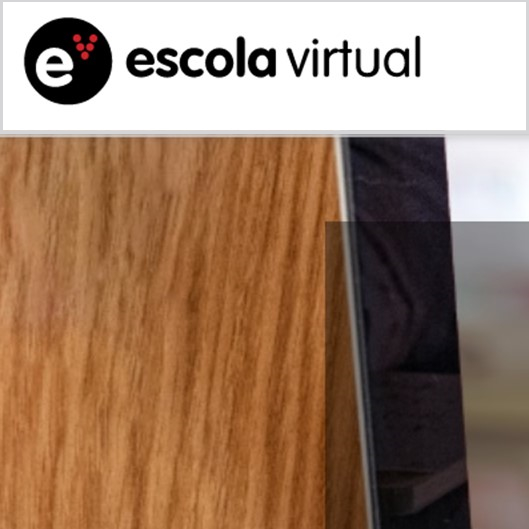 Escola_Virtual.JPG>