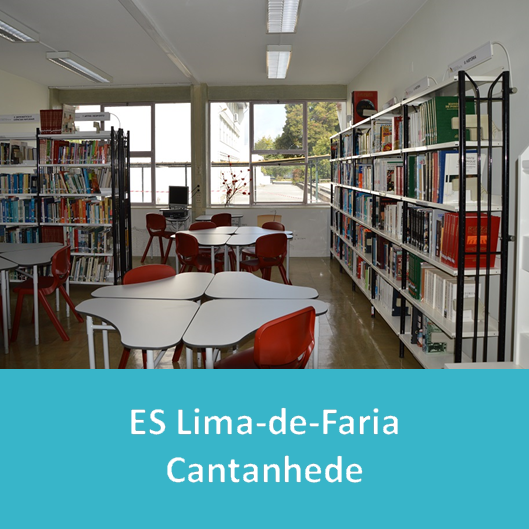 ES_Lima_de_Faria___Cantanhede.PNG>