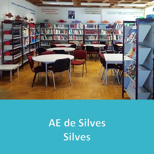 AE_de_Silves___Silves.PNG>