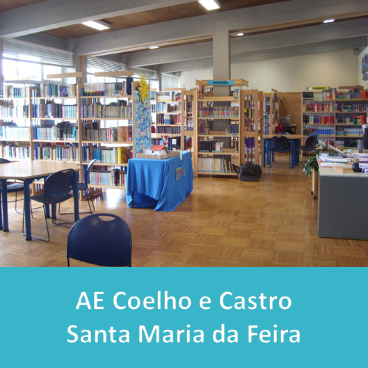 AE_Coelho_e_Castro___Santa_Maria_da_Feir1.PNG>