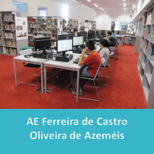 AE_Ferreira_de_Castro___Oliveira_de_Azem.PNG>