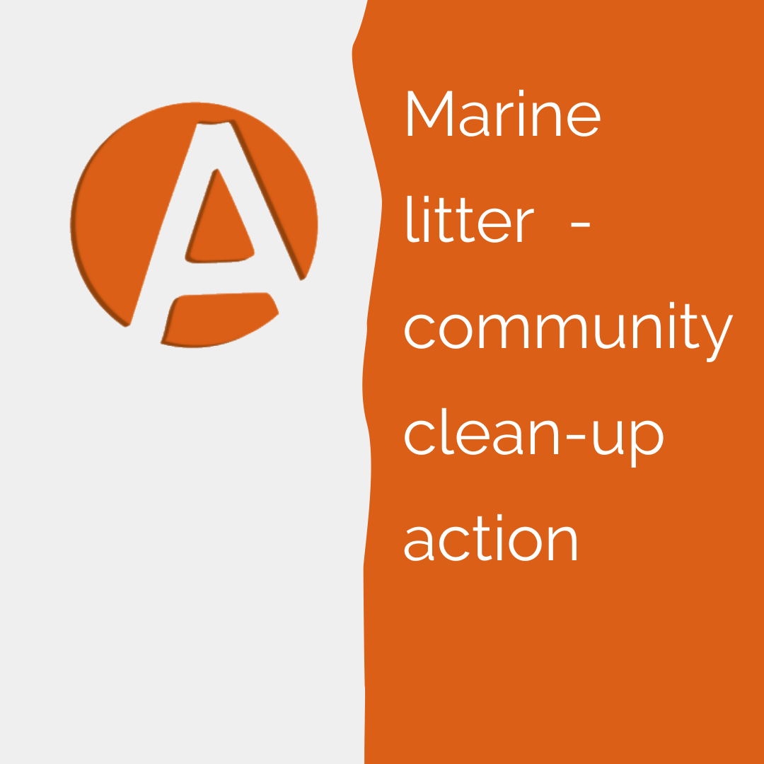 Marine_litter.png>