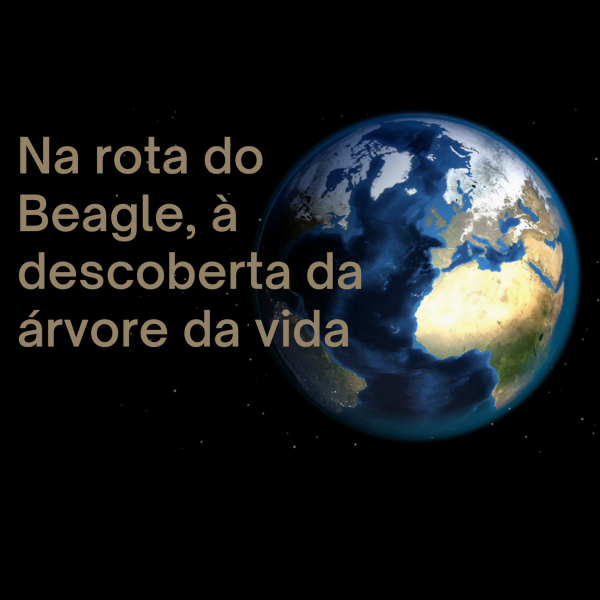 AE_N2_Beja1.png>