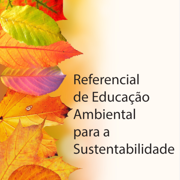Referencial_de_euca__o_ambiental.png>