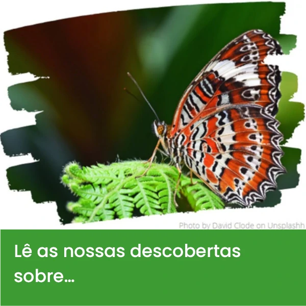 L__as_nossas_descobertas_sobre3.webp>