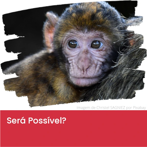 Sera_Possivel3.webp>