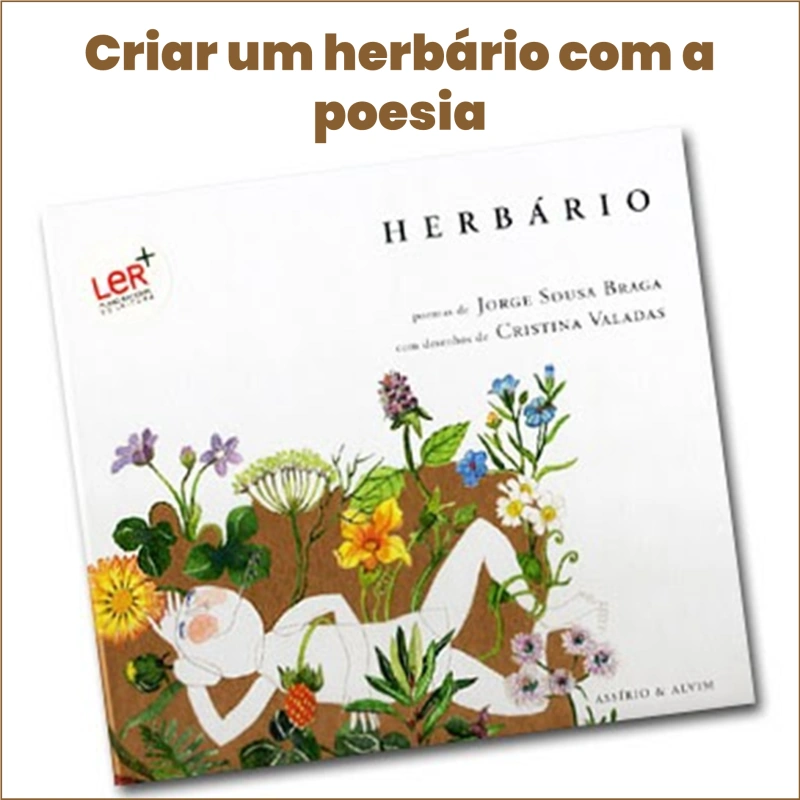 Criar_um_herb_rio.webp>