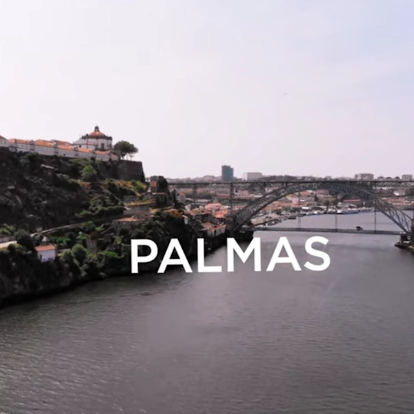 palmas.webp>