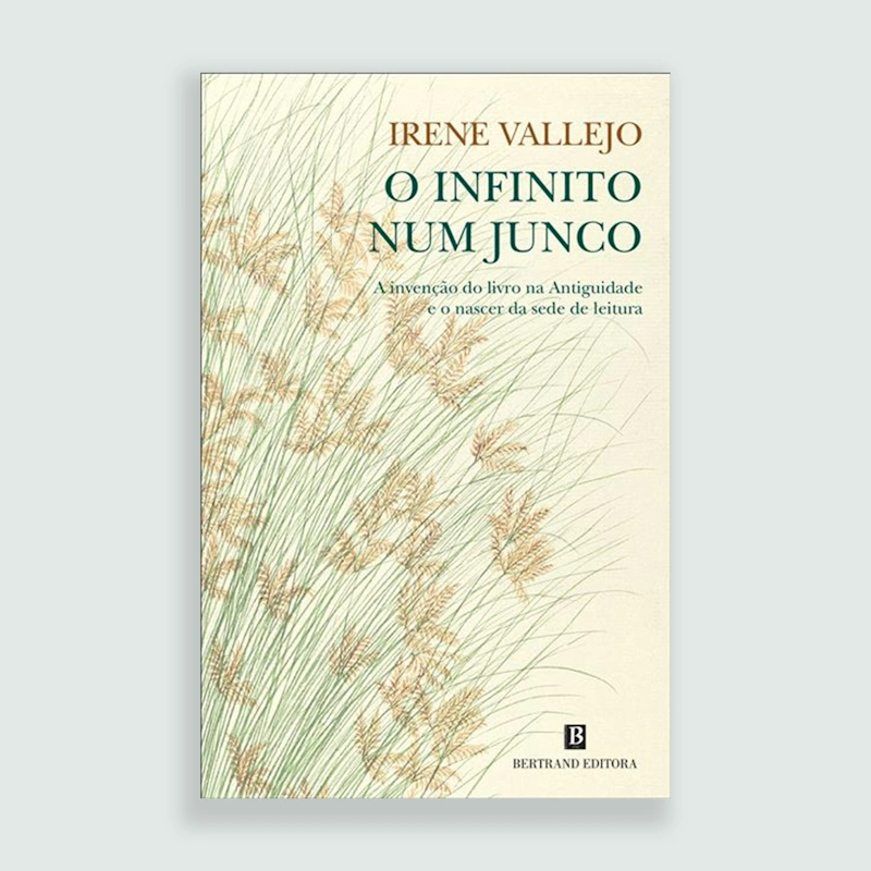 o_infinito_num_junco.webp>