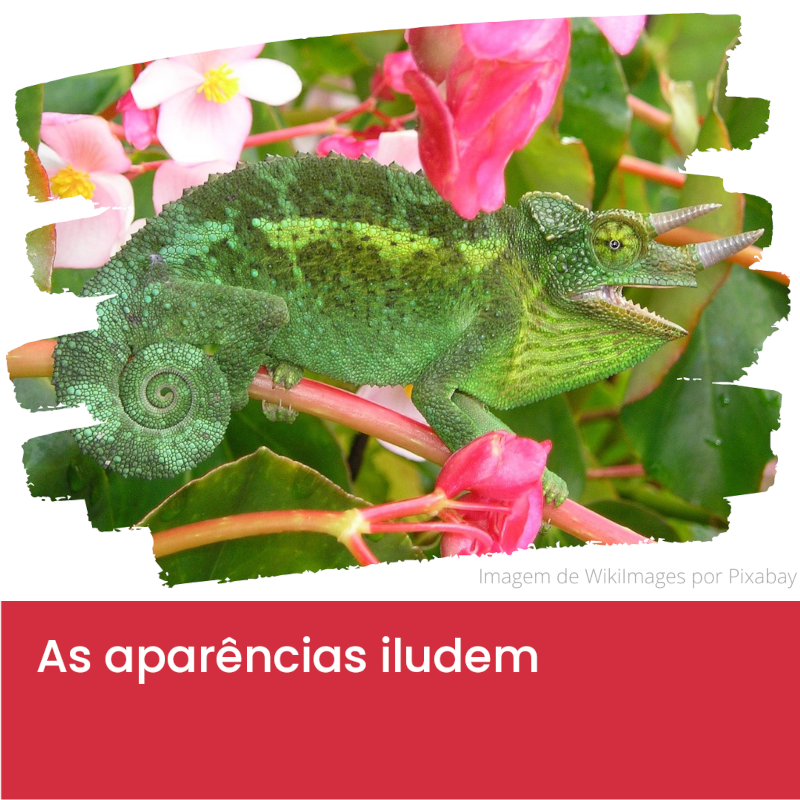 as_aparencias_iludem.webp>