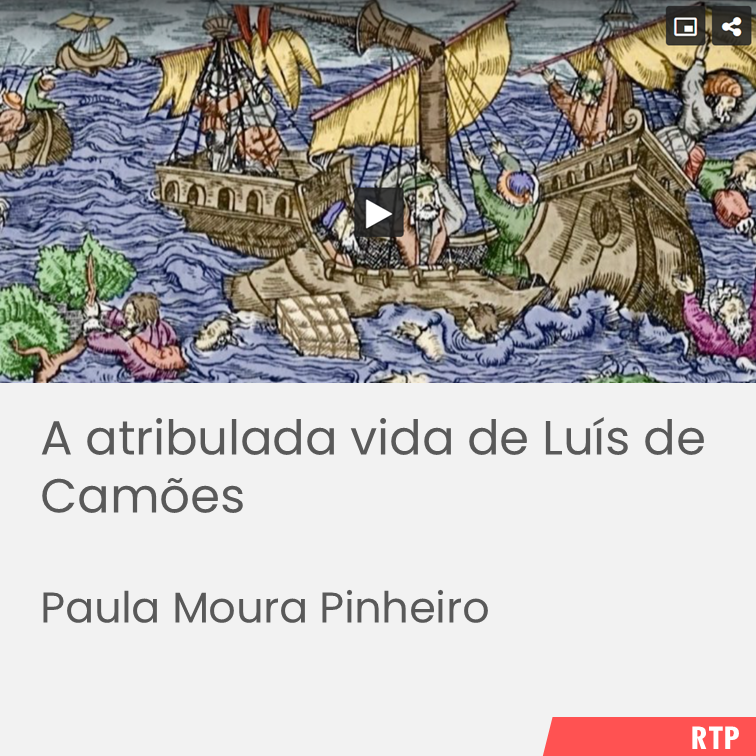 a_atribulada_vida.webp>