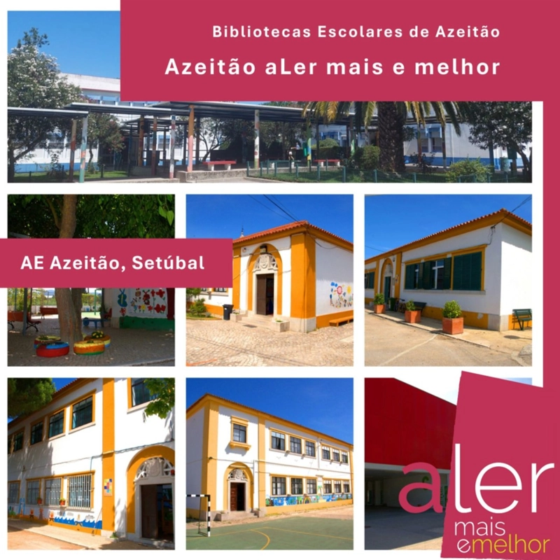 Azeit_oaLermais__2_.webp>